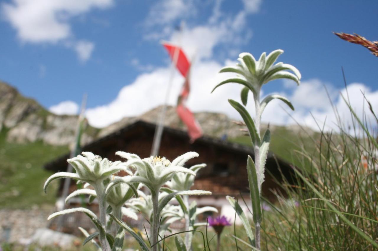 Unterlutaschg-Chalet Appartement Am Hof Slingia Quarto foto